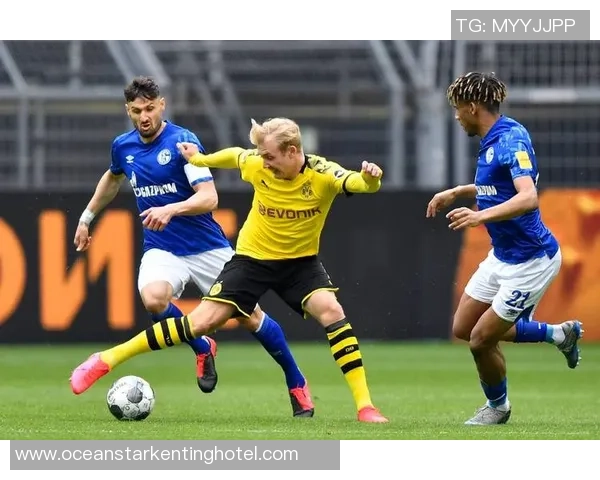 欧冠：多特蒙德2-2博德闪烁，布兰特双响，阿里萨米、海于格建功